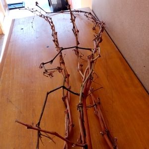 Natural Grapevine Braided Branches/ Bundle